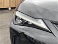 2019 Lexus Other