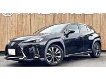 2019 Lexus Other