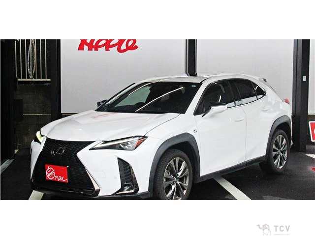 2019 Lexus Other