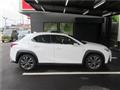 2019 Lexus Other