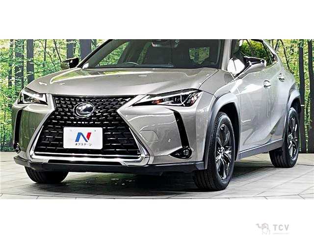2019 Lexus Other