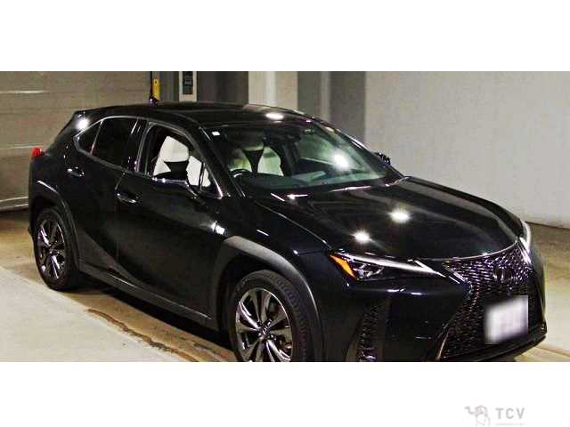 2019 Lexus Other
