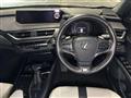 2019 Lexus Other