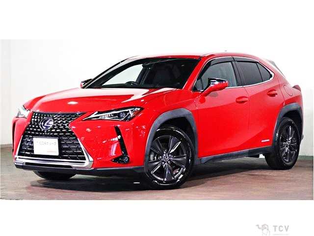 2019 Lexus Other