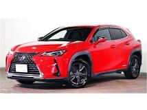 2019 Lexus Other