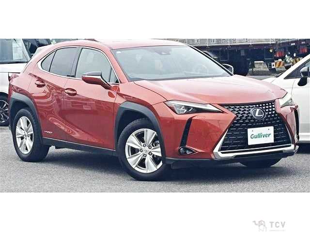 2019 Lexus Other