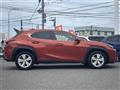 2019 Lexus Other