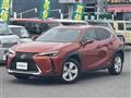 2019 Lexus Other