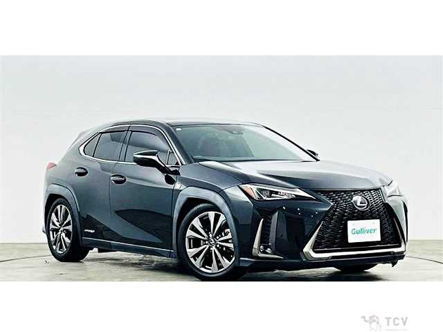 2019 Lexus Other
