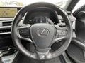 2019 Lexus Other