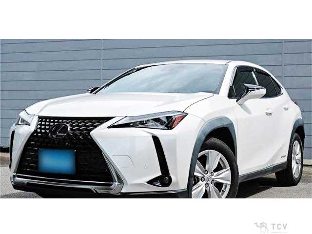 2019 Lexus Other