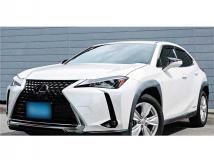 2019 Lexus Other