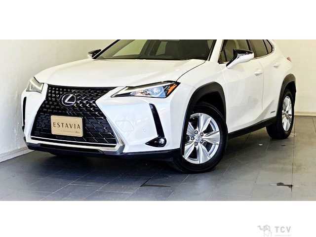 2019 Lexus Other