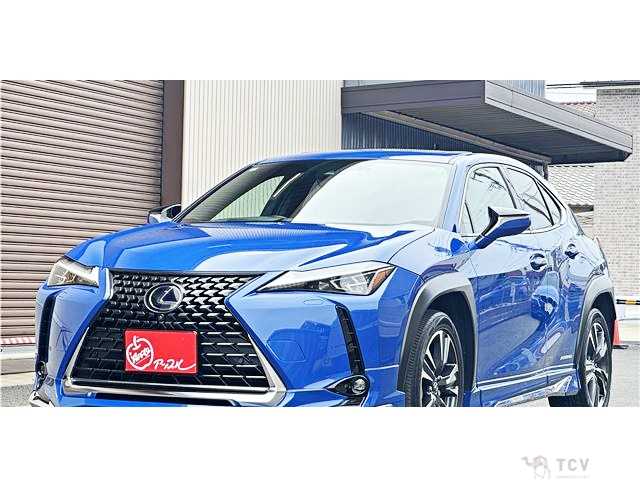 2019 Lexus Other