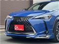 2019 Lexus Other