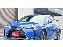 2019 Lexus Other