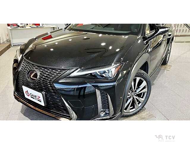2019 Lexus Other