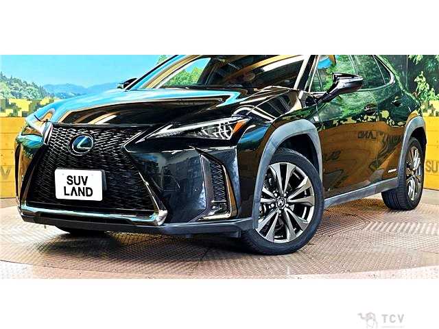 2019 Lexus Other