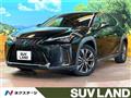 2019 Lexus Other