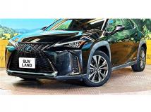 2019 Lexus Other