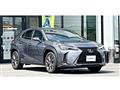 2019 Lexus Other