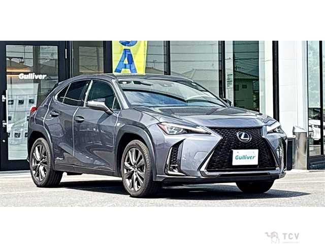 2019 Lexus Other