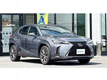 2019 Lexus Other