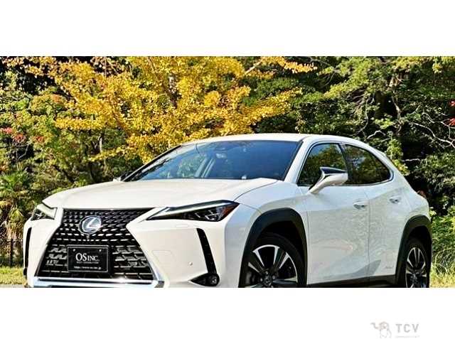 2019 Lexus Other