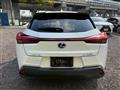 2019 Lexus Other