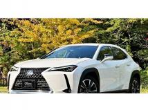 2019 Lexus Other