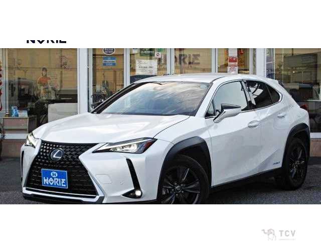 2019 Lexus Other