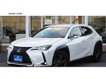 2019 Lexus Other