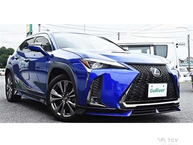 2019 Lexus Other