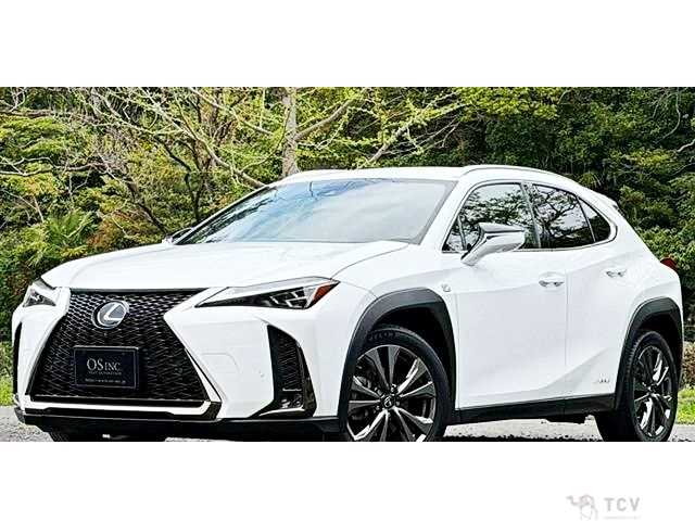 2019 Lexus Other