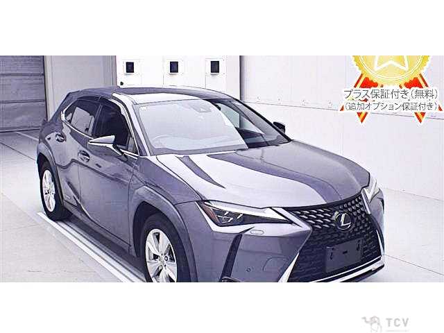 2019 Lexus Other