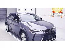 2019 Lexus Other