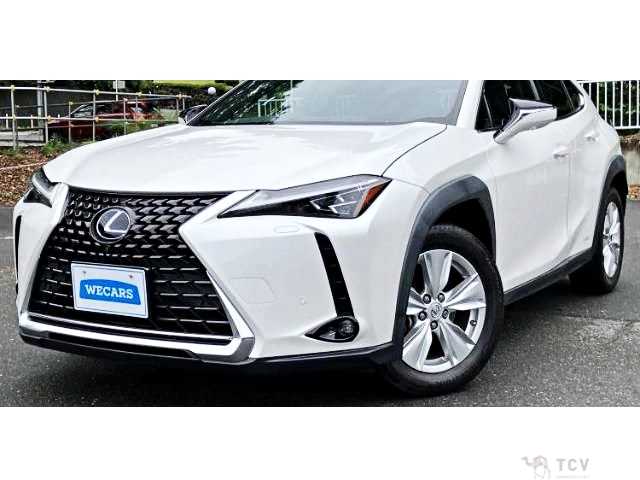 2019 Lexus Other