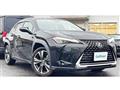 2019 Lexus Other