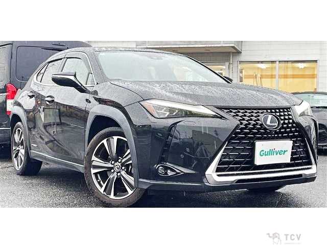 2019 Lexus Other
