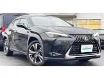 2019 Lexus Other