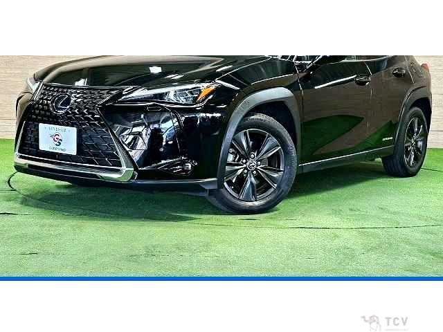 2019 Lexus Other