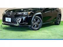 2019 Lexus Other