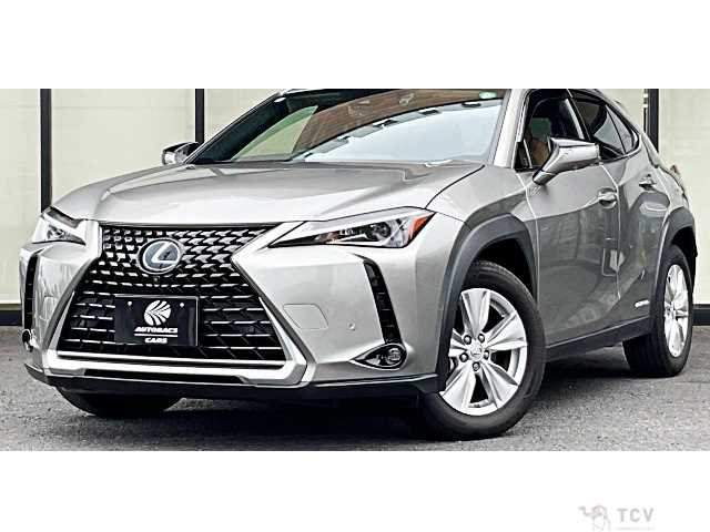 2019 Lexus Other
