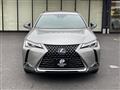 2019 Lexus Other