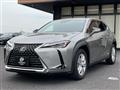 2019 Lexus Other