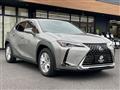 2019 Lexus Other
