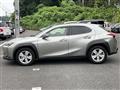 2019 Lexus Other