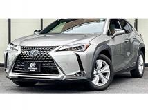 2019 Lexus Other