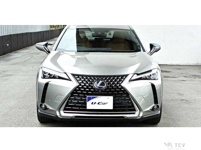 2019 Lexus Other