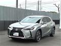 2019 Lexus Other